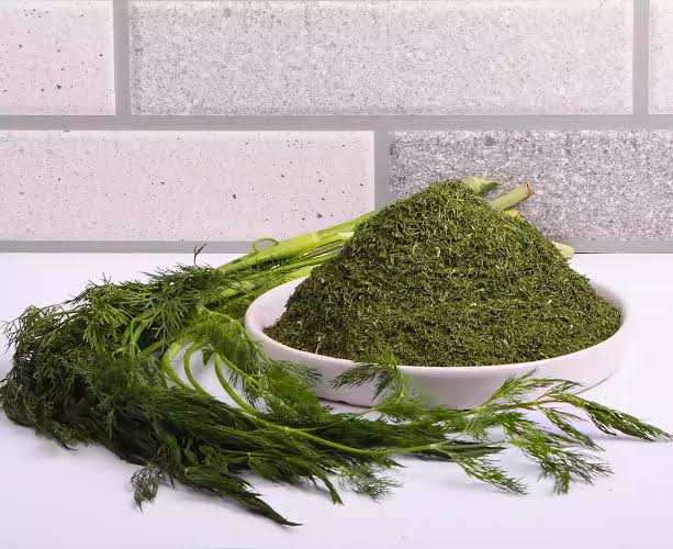 شوید خشک خانگی تهیه شده از سبزی تازه مرغوب